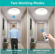 Rechargeable Motion Sensor Ceiling Light 